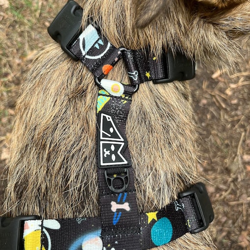 Szelki guard Stay on "I need space" - Szerokość taśmy: 38mm, Rozmiar: XL