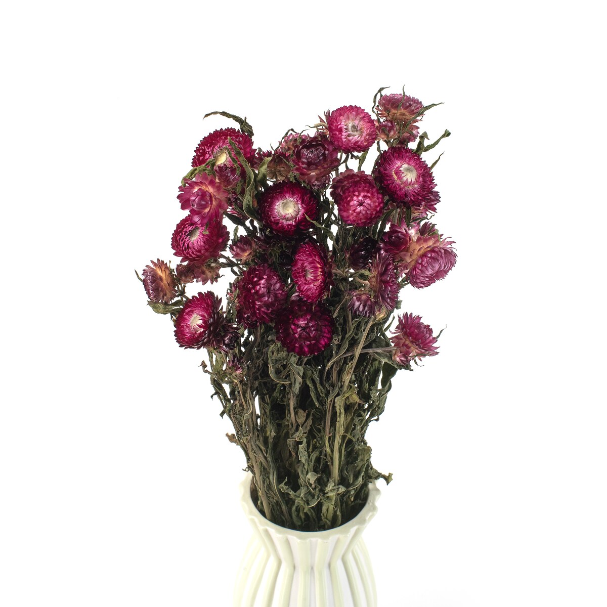 Suszona kocanka ciemnoróżowa (Helichrysum) 80 g - bukiet