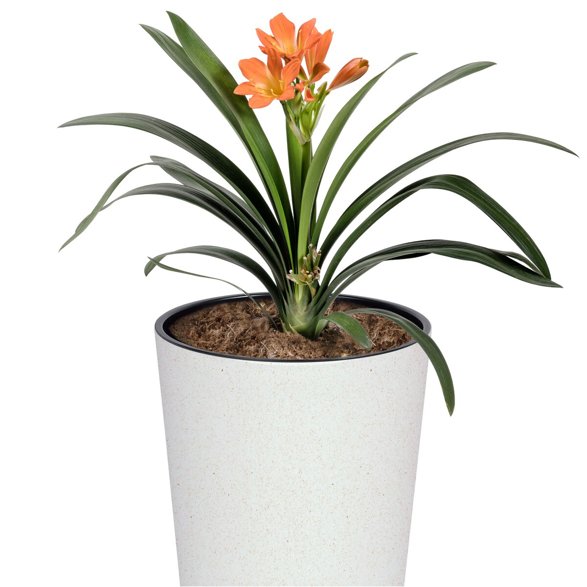 Donica Doniczka Ogrodowa 25 Cm Na Taras Do Ogrodu Domu Eco Wood Biała