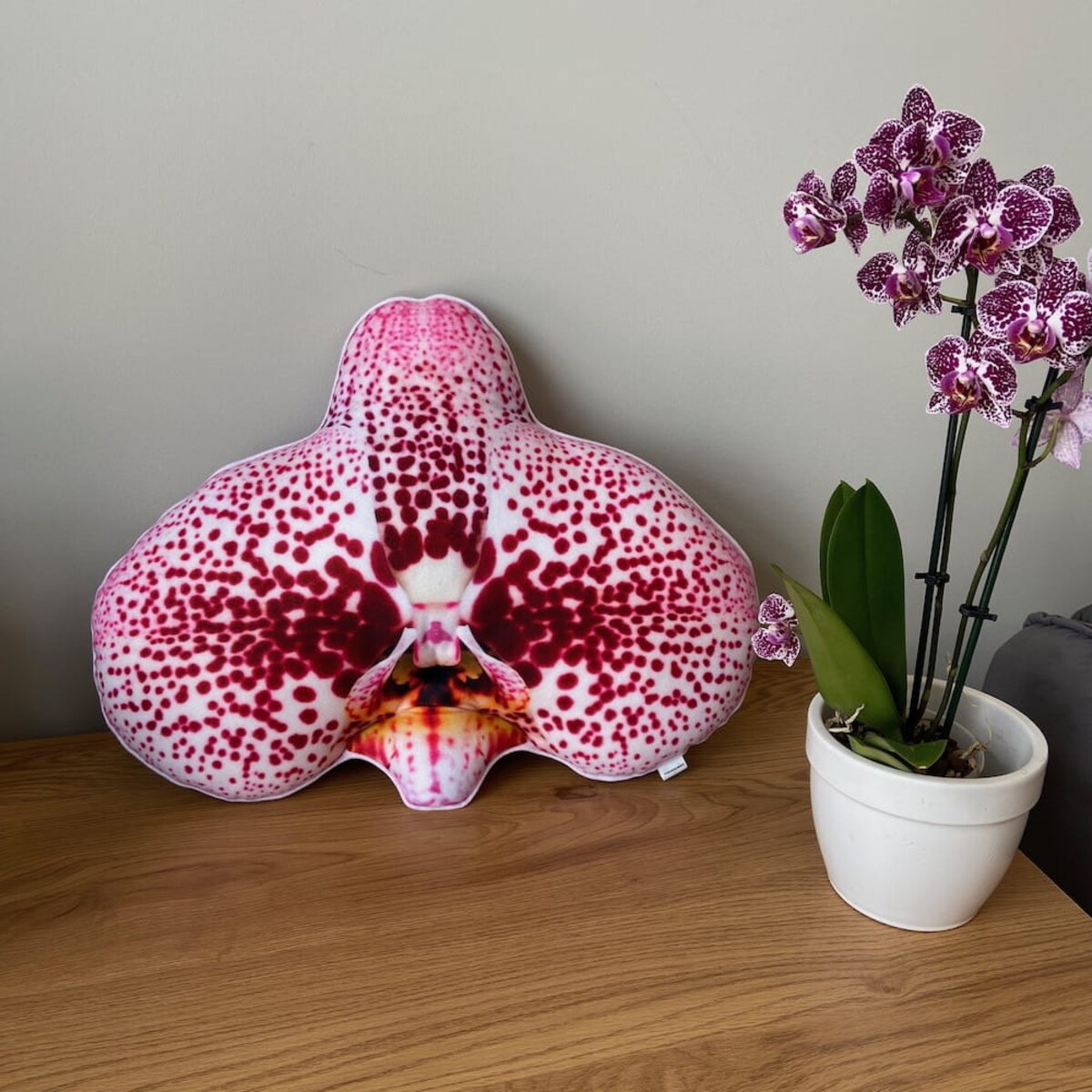 Poduszka duży Storczyk Orchidea Phalaenopsis