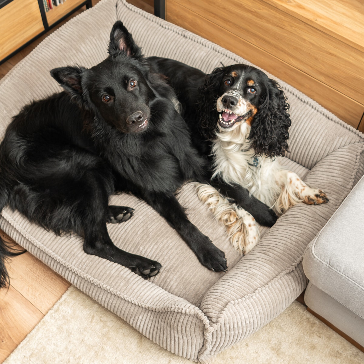 Ortopedyczne sztruksowe legowisko dla psa HUGO, 60x40 cm, Beż