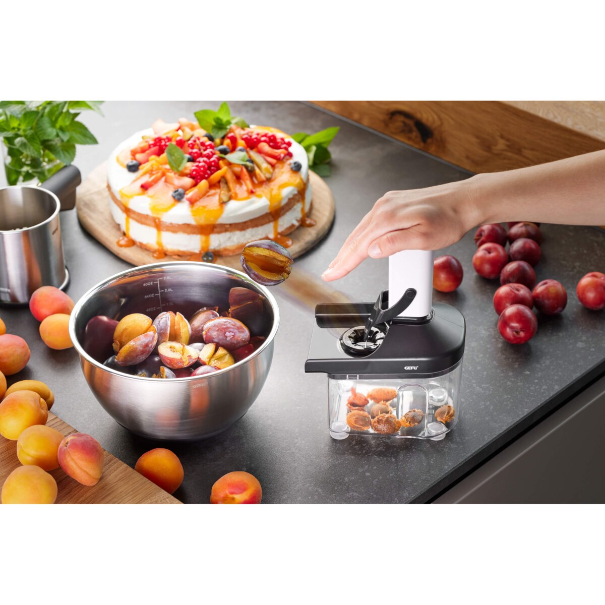 Drylownica do śliwek CORER