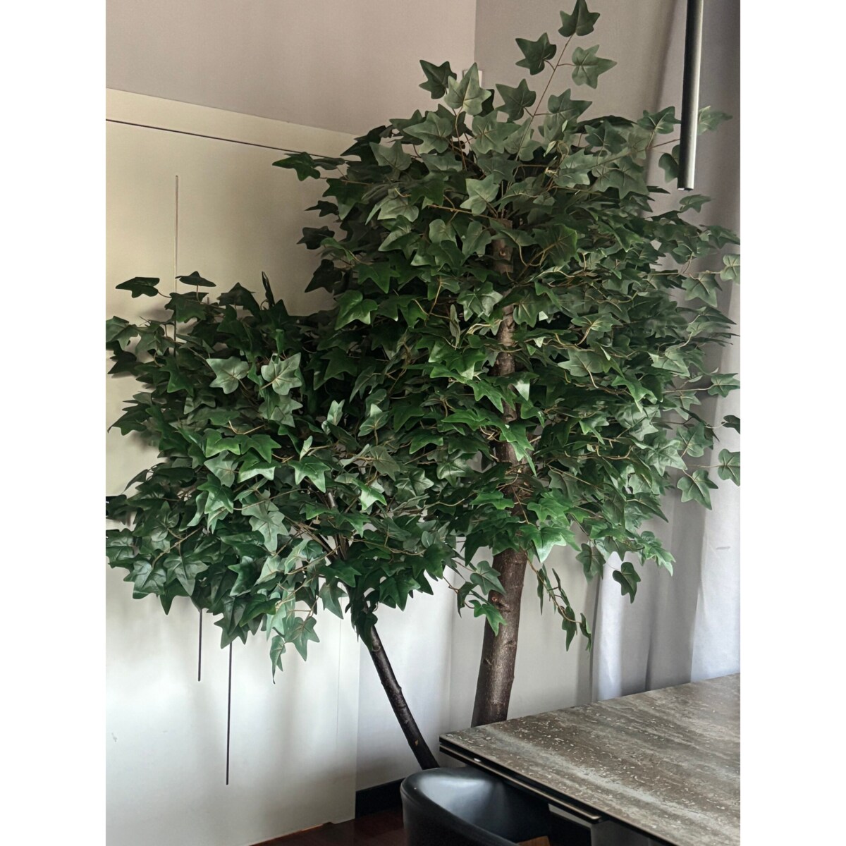 Drzewo klon z zielonymi liśćmi na naturalnym pniu 240 cm