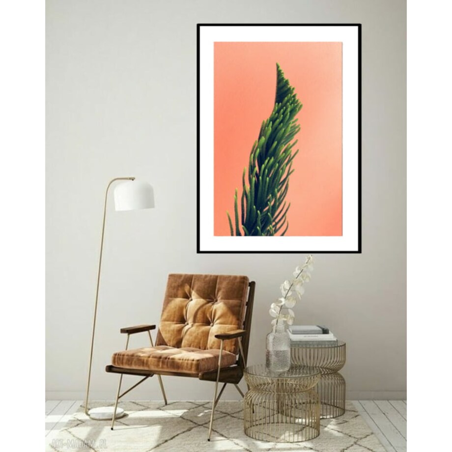 Poster Story, Plakat, Obraz - Kaktus na Pomarańczowym Tle, wymiary 70 x 100 cm