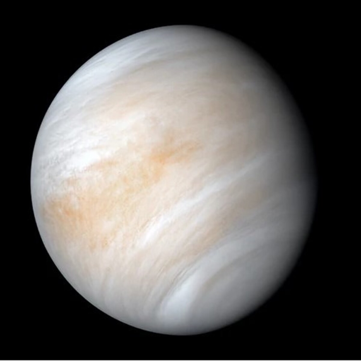 Pluszowa planeta - Wenus