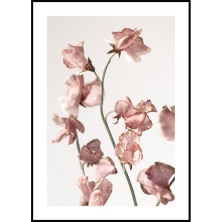 Poster Story, Plakat, Obraz - Różowe Kwiatki, wymiary 21 x 30 cm