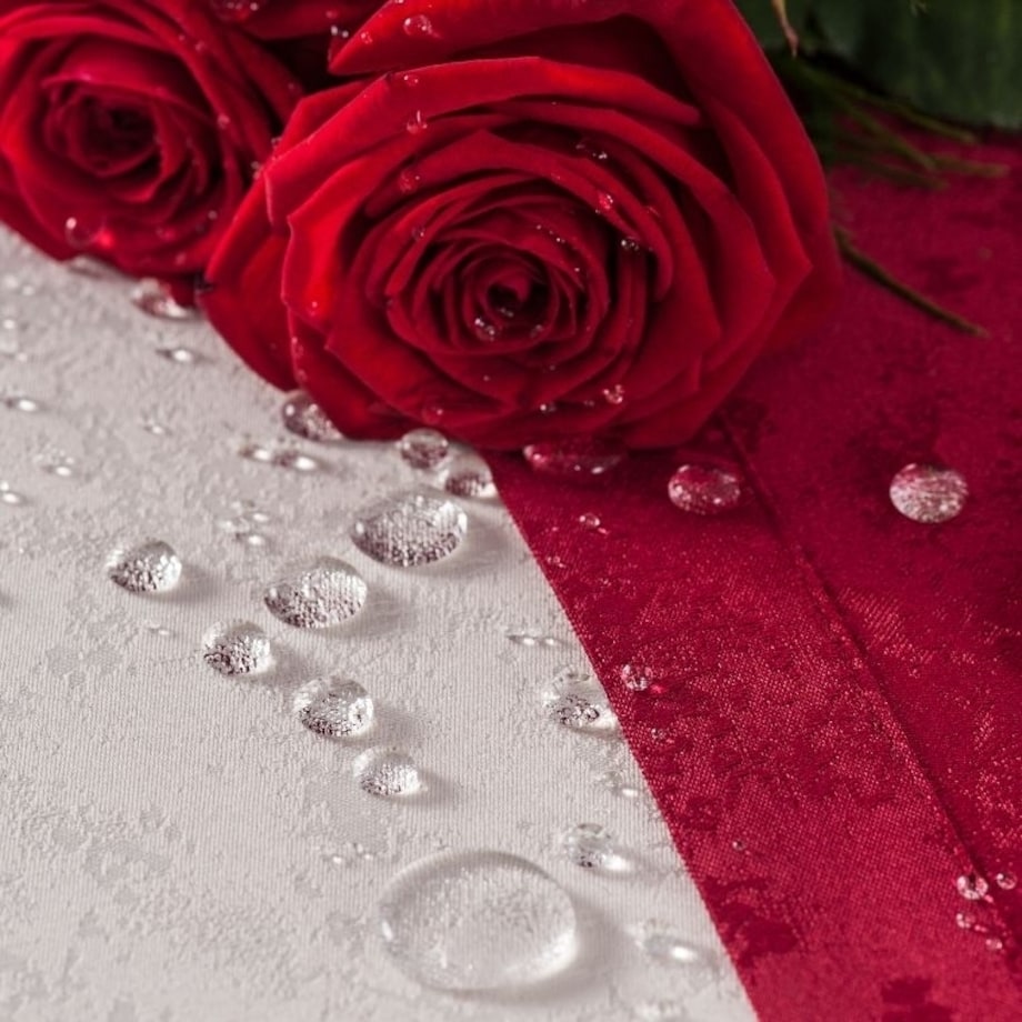 Obrus plamoodporny Marmurek bordo - 120x120 cm - bordowy