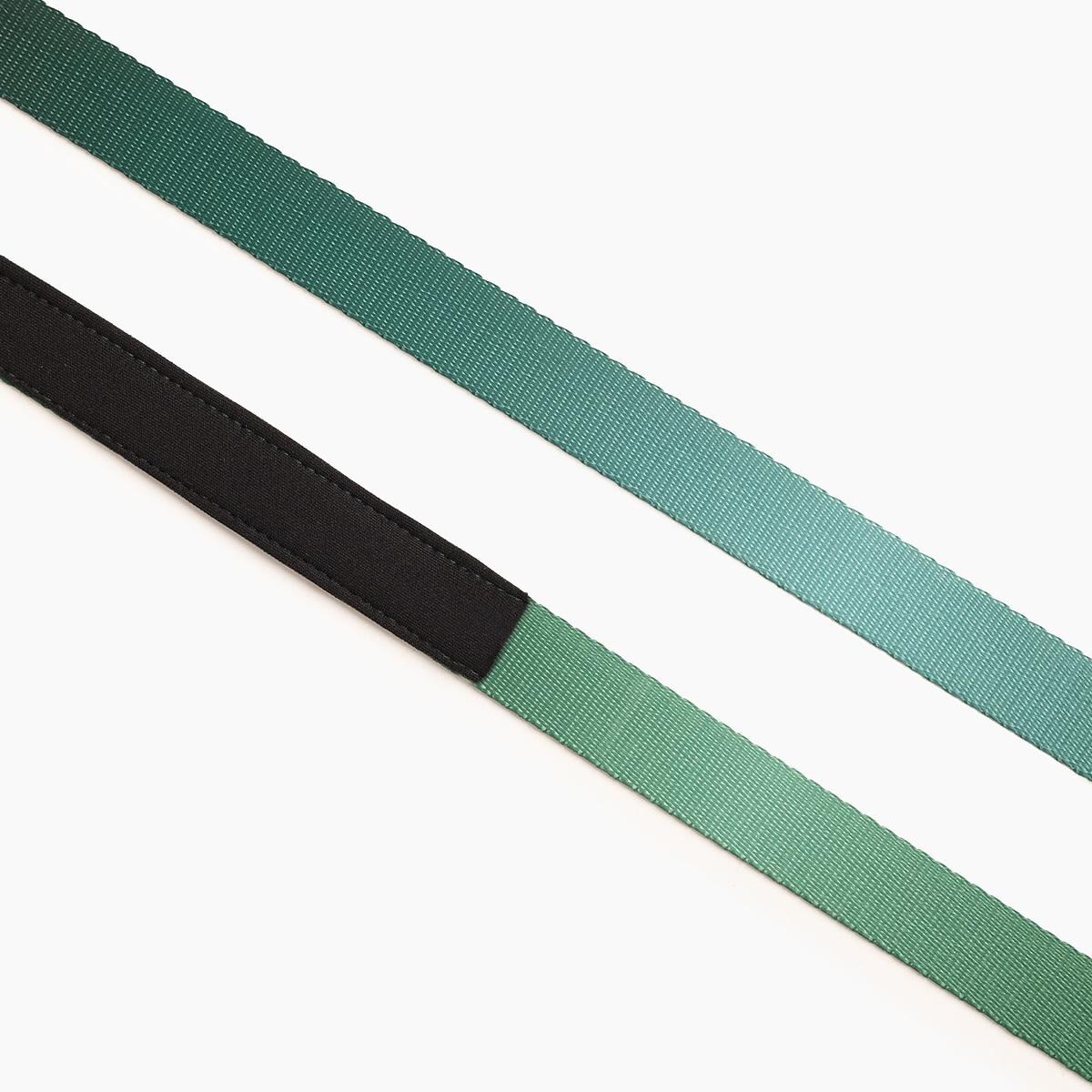 Smycz miejska dla psa lub kota "Under my ombrella" ZIELEŃ - Szerokość taśmy: 20mm, Rozmiar: M oraz Rodzaj: Mały karabinek