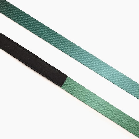 Smycz miejska dla psa lub kota "Under my ombrella" ZIELEŃ - Szerokość taśmy: 20mm, Rozmiar: M oraz Rodzaj: Mały karabinek