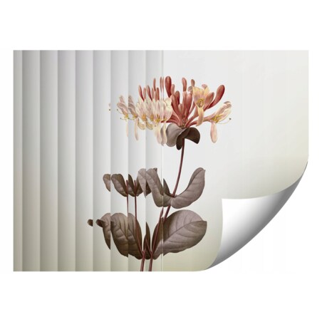 Fototapeta Natury Z Kwiatem I Szklem Do Sypialni Salonu 400X280