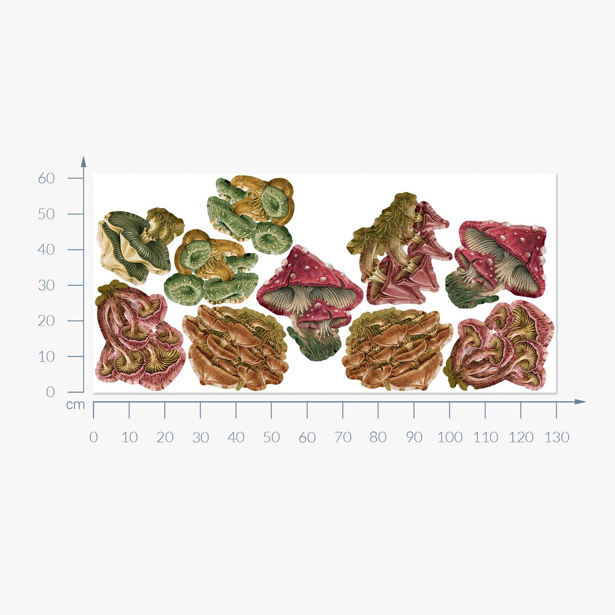 Zestaw naklejek na ścianę, Grzybowa łąka, 130cm