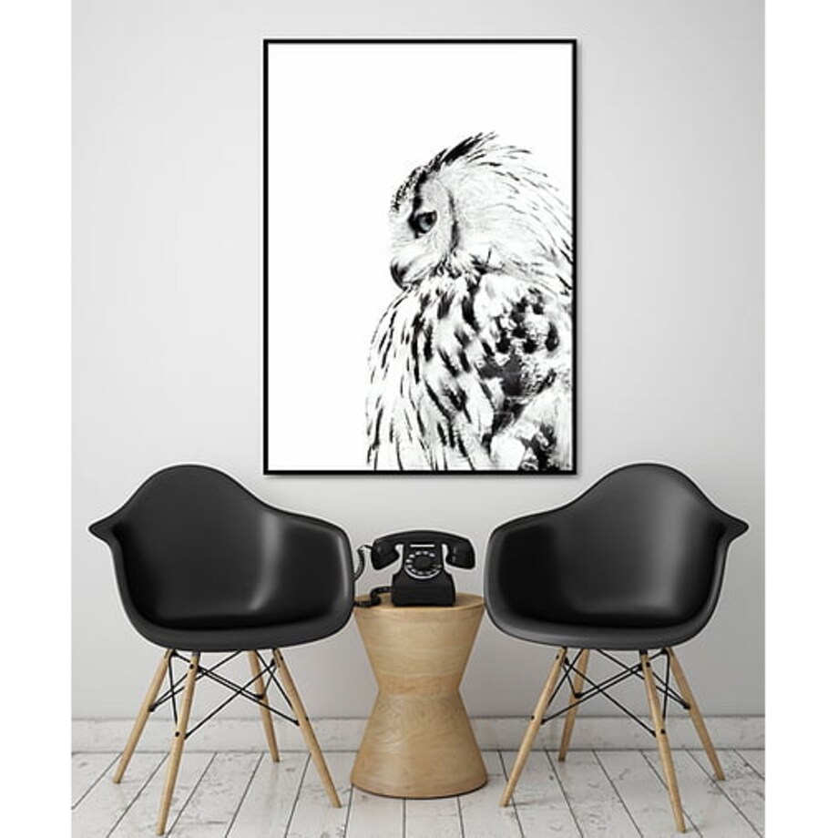 Poster Story, Plakat, Obraz - Sowa w Akwareli, wymiary 60 x 84 cm