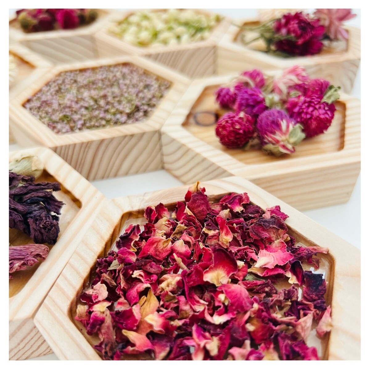 Dyski sensoryczne KWIATOWY OGRÓD