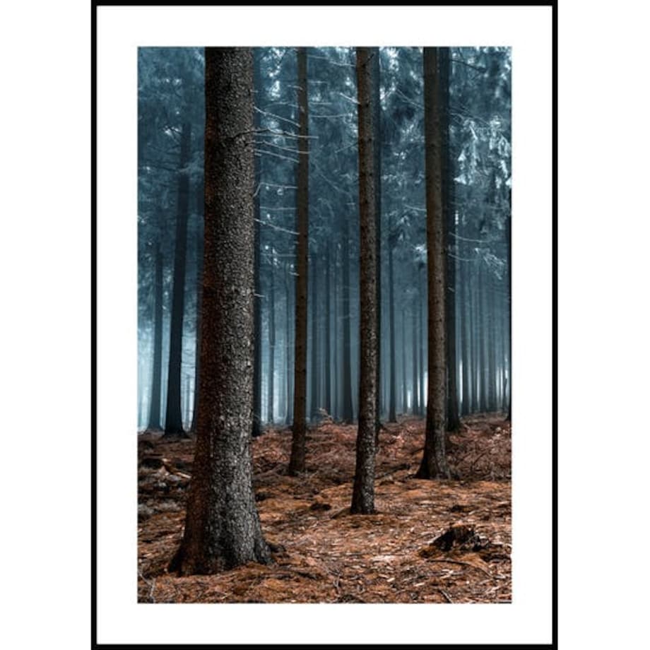 Poster Story, Plakat, Obraz - Tajemniczy Las, wymiary 70 x 100 cm
