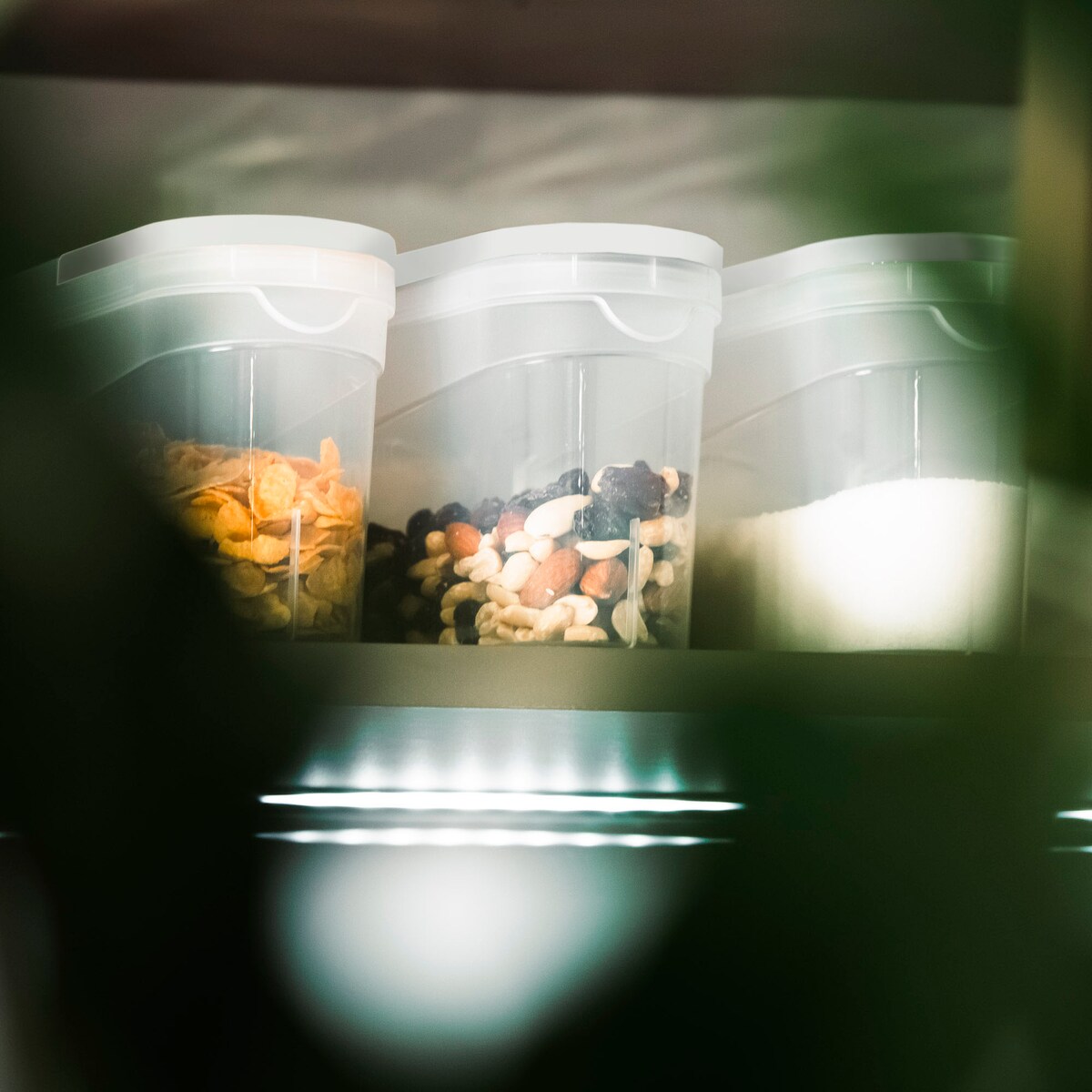 Pojemniki Na Żywność Kuchenne 3 X 1,3 L Makaron Cukier Mąkę Kaszę Sypkie