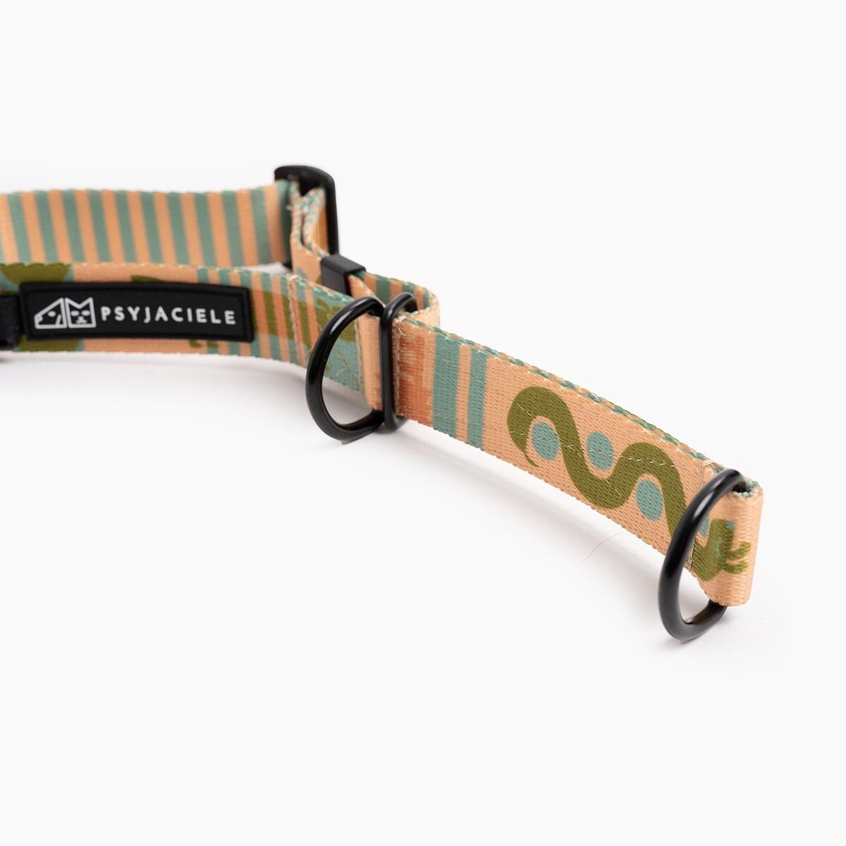 Obroża półzaciskowa dla psa lub kota "Piess" - Szerokość taśmy: 25mm, Rozmiar: S