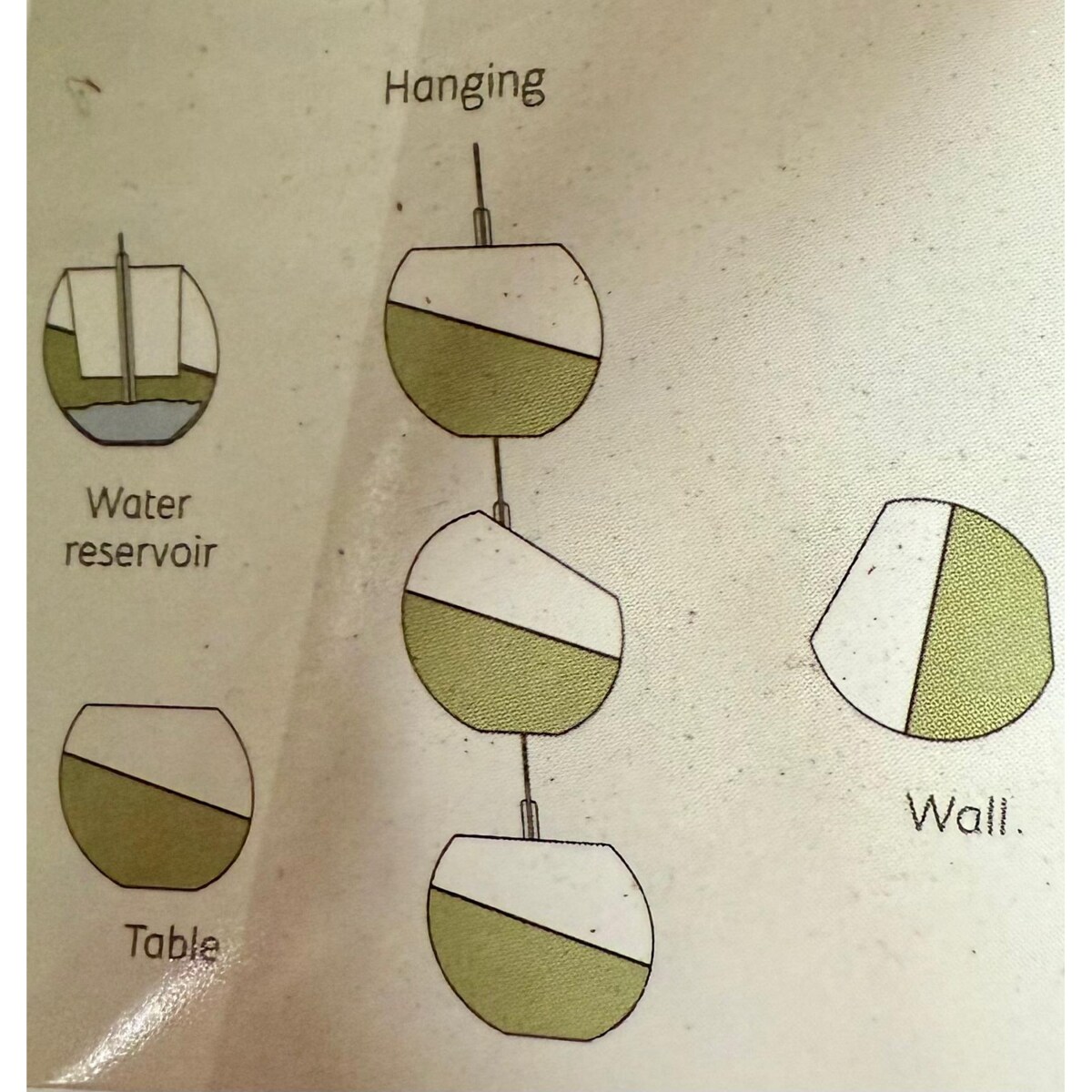 Roślina wisząca XXL -Rhipsalis Red Coral doniczka 20 wysokość 25cm