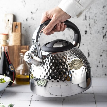 Czajnik stalowy z gwizdkiem 3.0L z grubym dnem srebrny KLAUSBERG