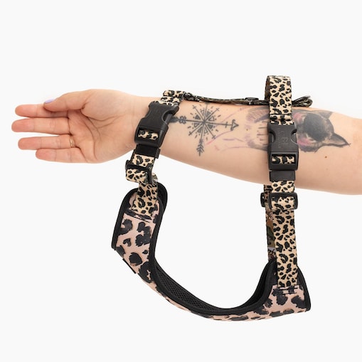 Szelki bezuciskowe Stay on "PANtera mi kupi" z panterkowym przodem - Szerokość taśmy: 25mm, Rozmiar: XL