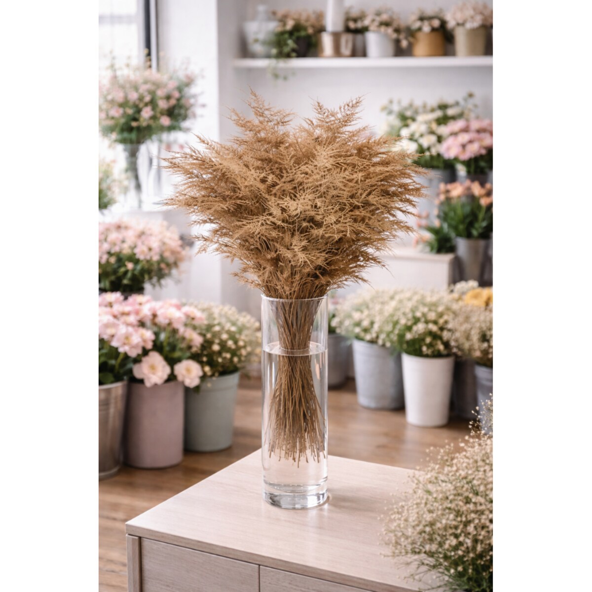 Asparagus Rose Gold – bukiet , 50 szt., wysokość ok. 80 cm, 550–600 g