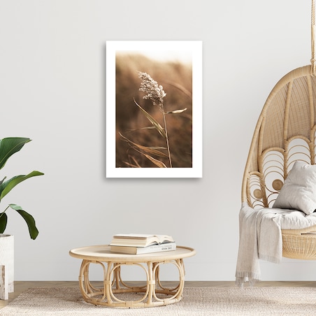 Obraz na płótnie, Trzcina w skali makro