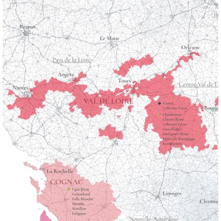 plakat FRANCJA regiony winiarskie 50x70cm