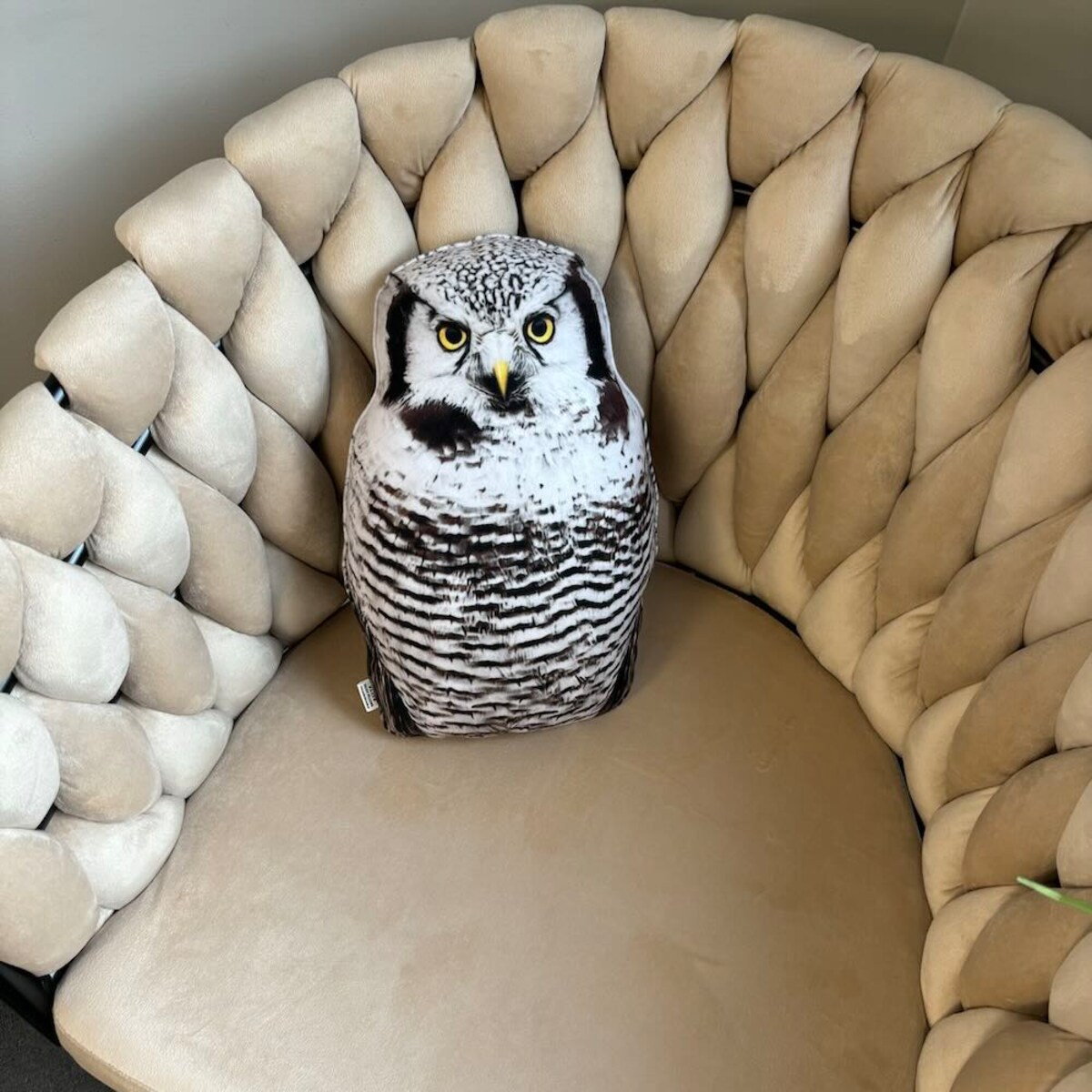 Poduszka mała Sowa Jarzębata Surnia ulula