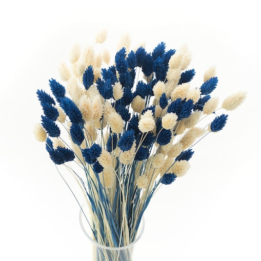Zestaw suszonych traw biel & granat