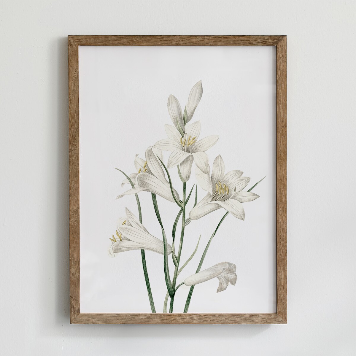 Zestaw 6 Ilustracji 30x40cm