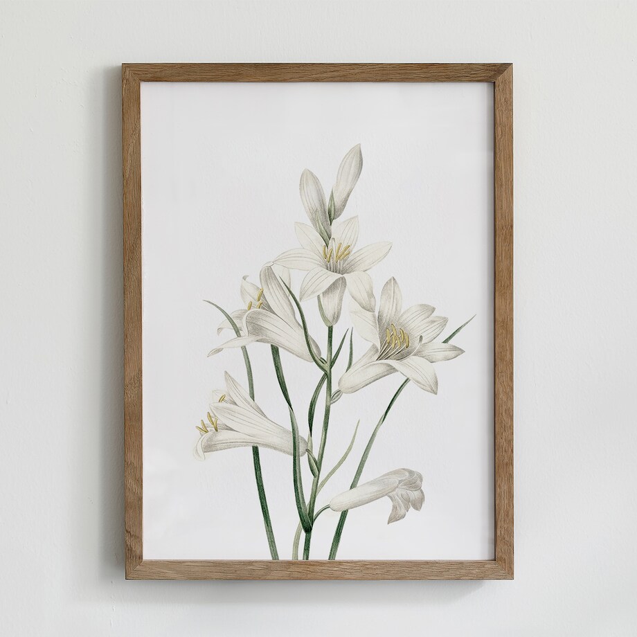 Zestaw 6 Ilustracji 30x40cm