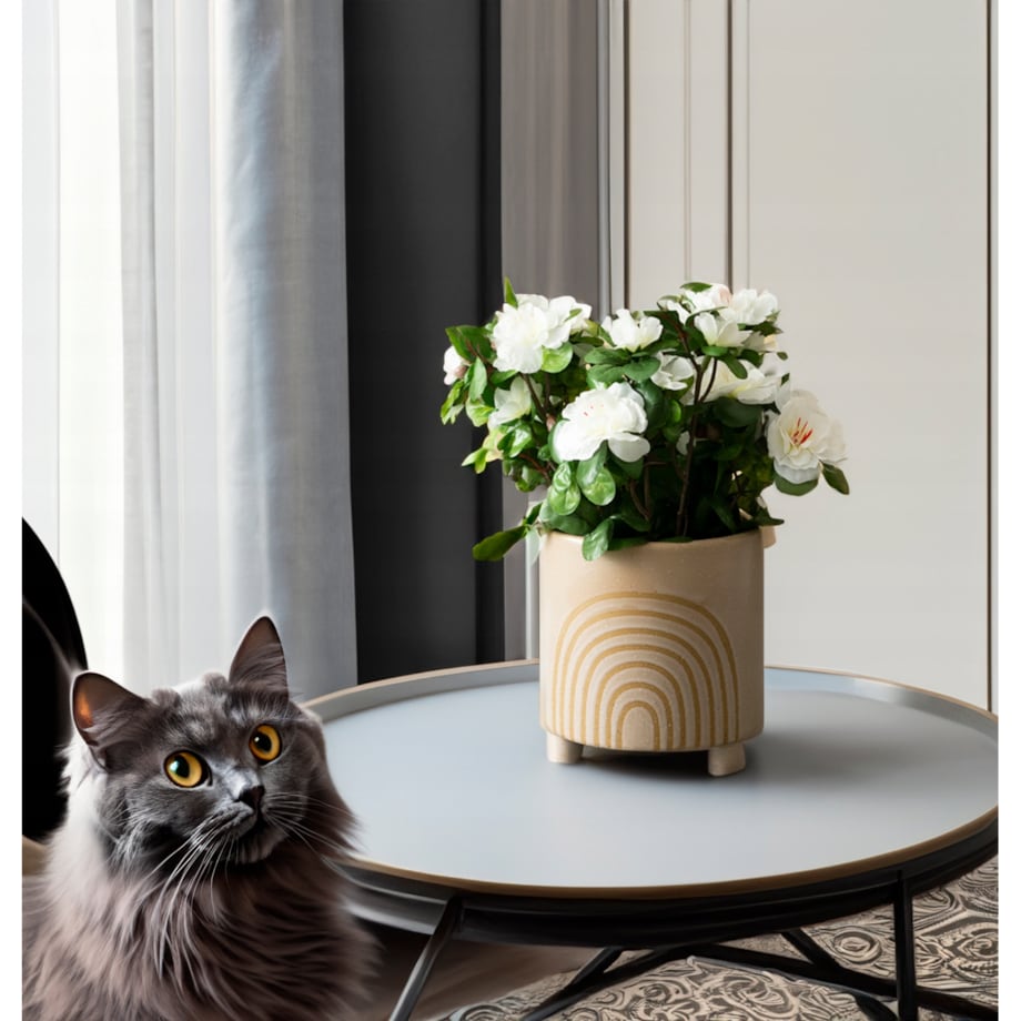 DONICA RAINBOW ceramiczna beżowa śr. 13cm