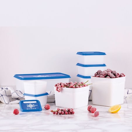 Amuse pojemniki do zamrażarki Alaska 3x1.2L