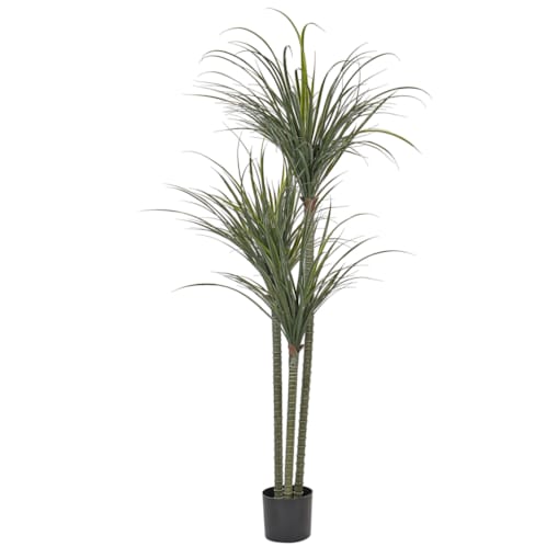 Sztuczna roślina doniczkowa 198 cm DRACAENA ANITA