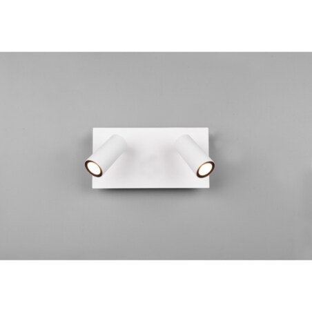Elewacyjna LAMPA ogrodowa TUNGA 222960231 metalowa OPRAWA regulowany kinkiet LED 6W 3000K tuby loft IP54 białe, Trio