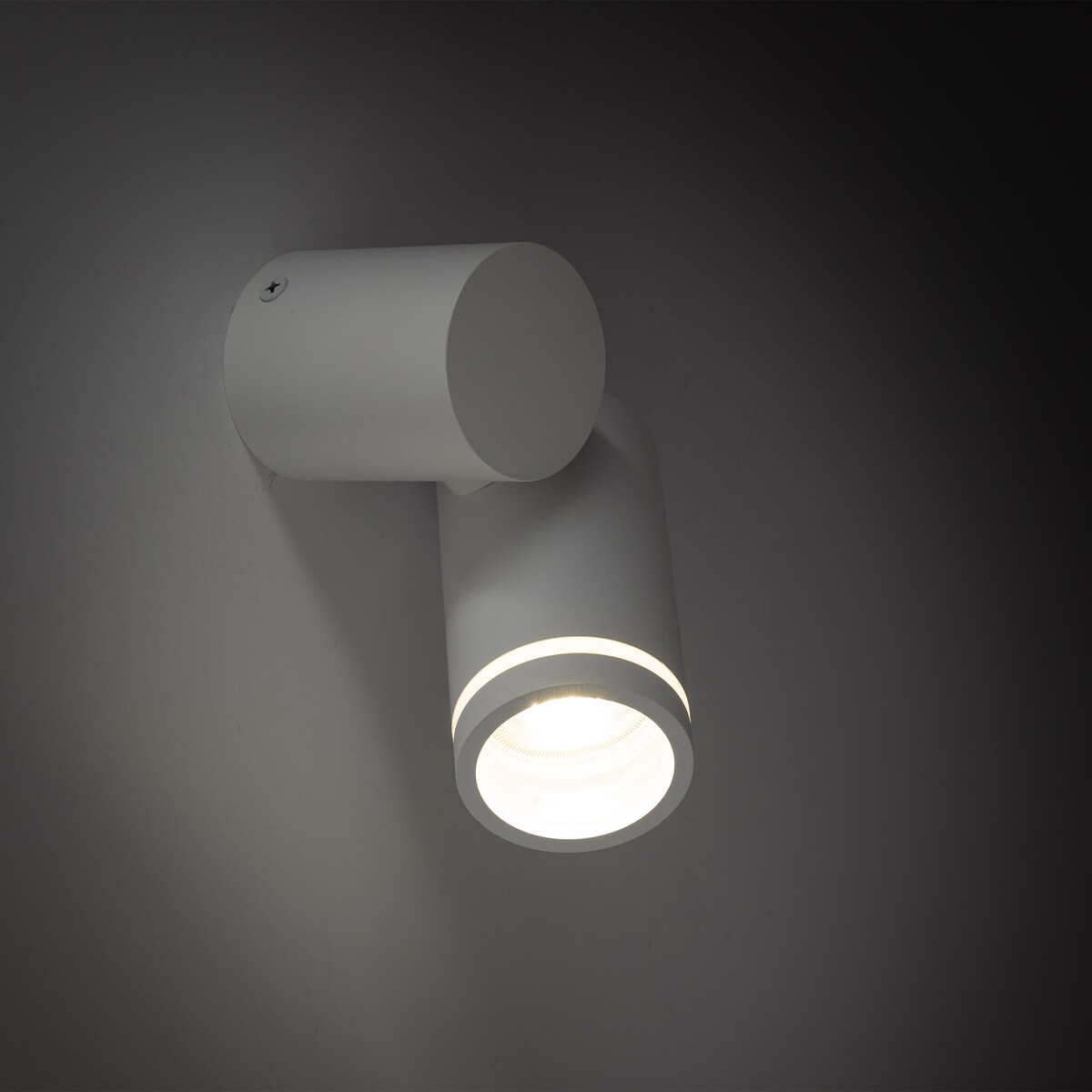 Reflektor punktowy JET WHITE 5393 TK Lighting biały GU10 ruchomy spot sufitowy LED