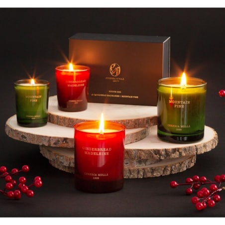 Świeca zapachowa 230 g Mountain Pine Cereria Molla