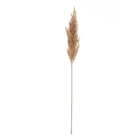 Gałązka Trawy Pampasowej 90cm beige, 8 x 8 x 90 cm