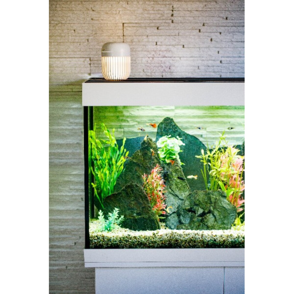 InnoGIO GIOhygro Light Nawilżacz Powietrza biały z podświetleniem LED