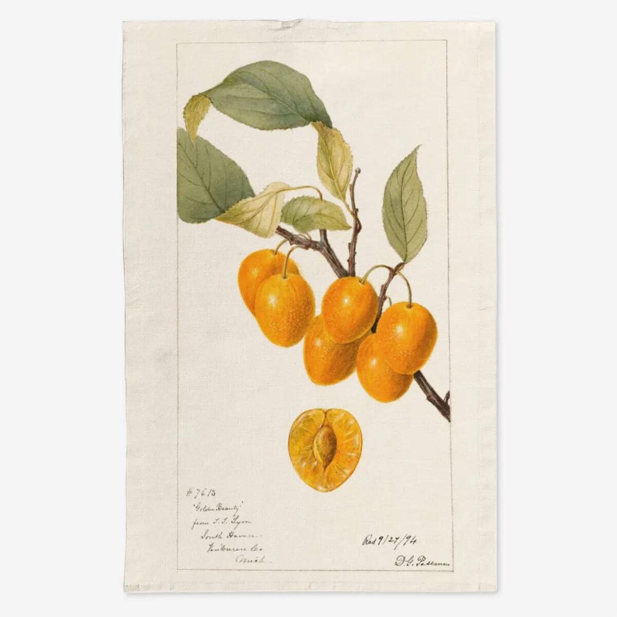 Lniany ręcznik kuchenny - Żółte czereśnie