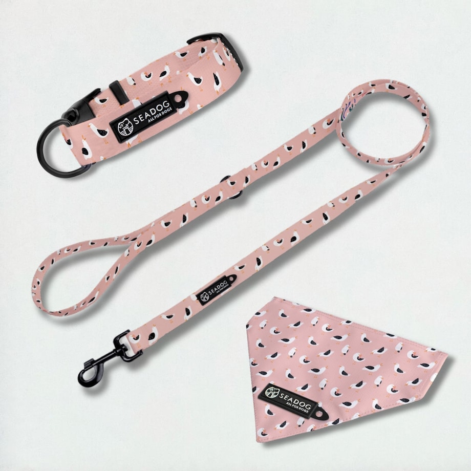 Zestaw: smycz, obroża i bandana, rozmiar M