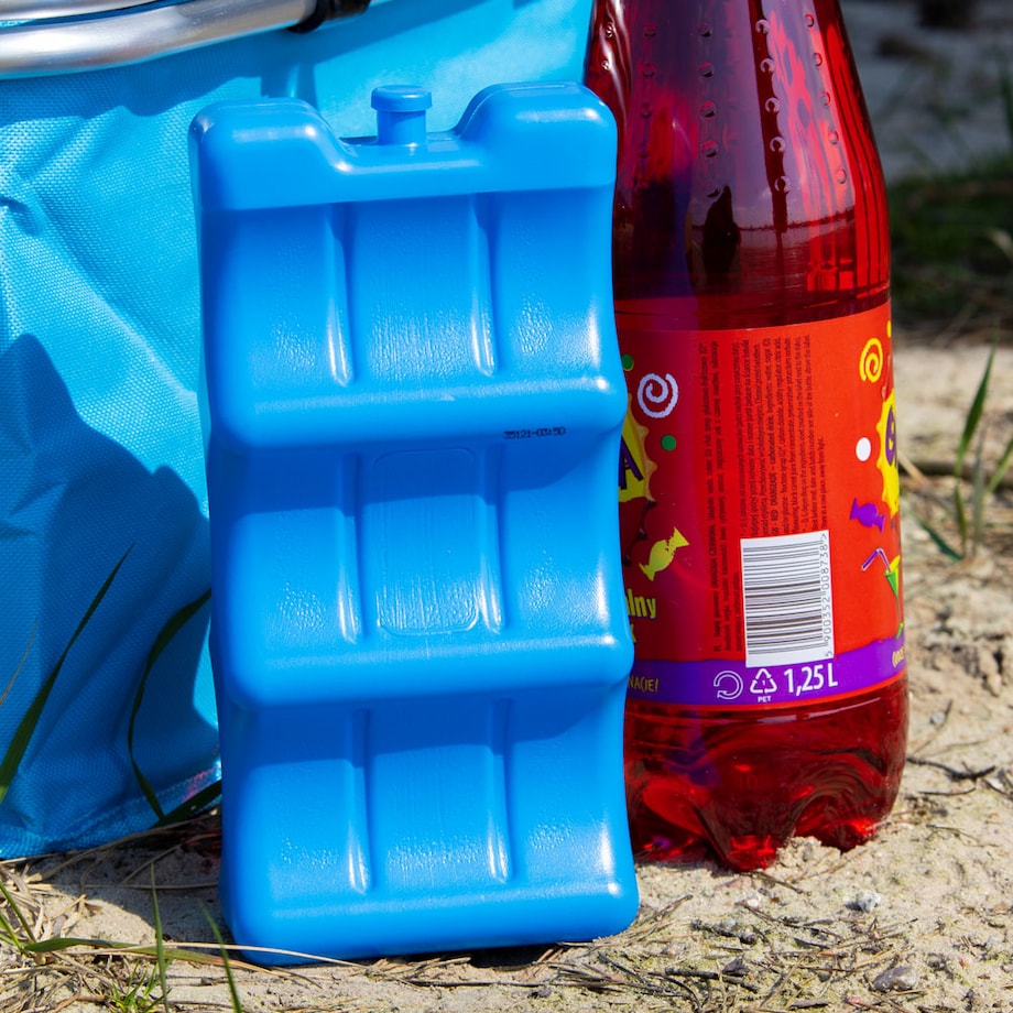 Wkład Chłodzący Do Lodówki Torby Turystycznej Na Puszki 6 Puszek