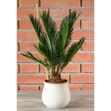 DONICA BORO beżowa ceramiczna śr. 14cm