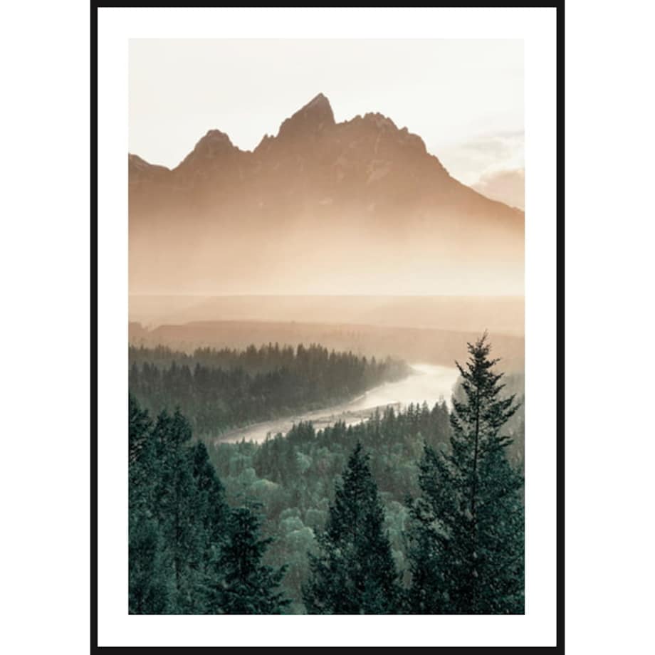 Poster Story, Plakat, Obraz - Las Sosnowy w Górach, wymiary 42 x 60 cm