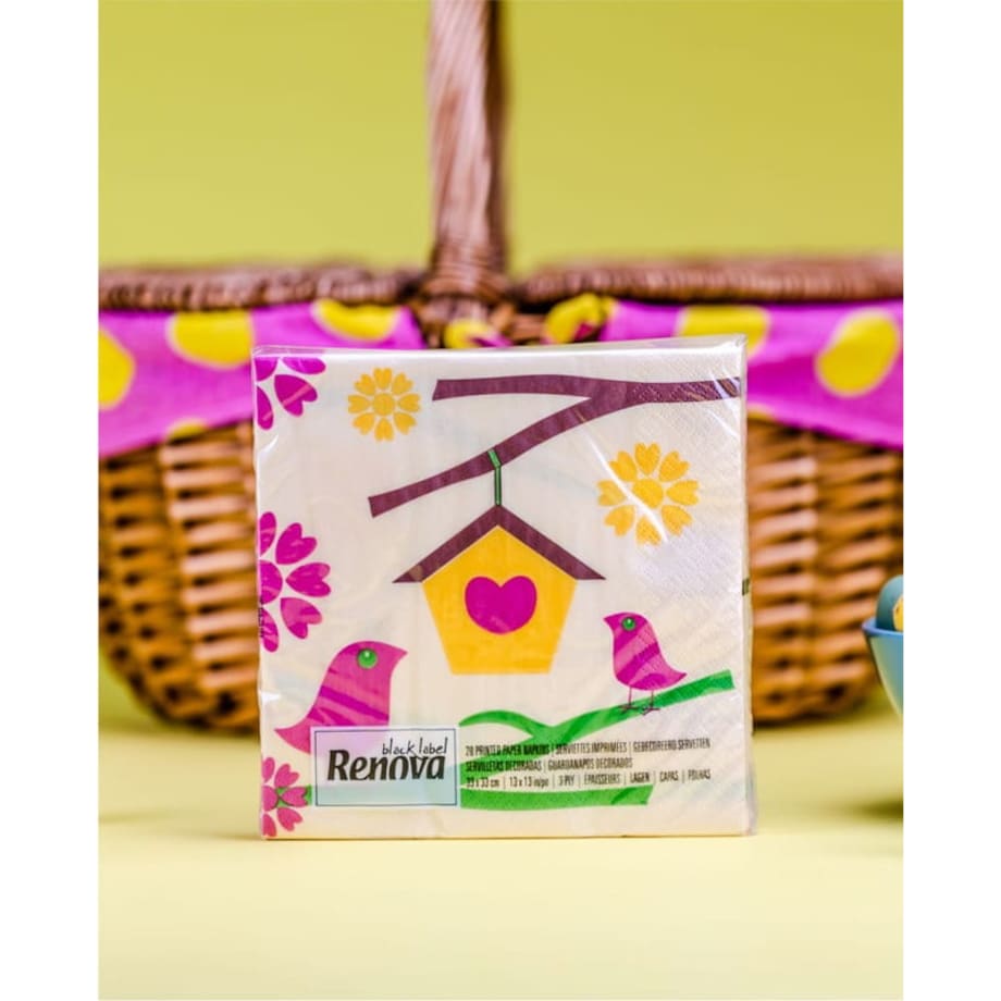 Serwetki papierowe Renova Bird House 20 szt