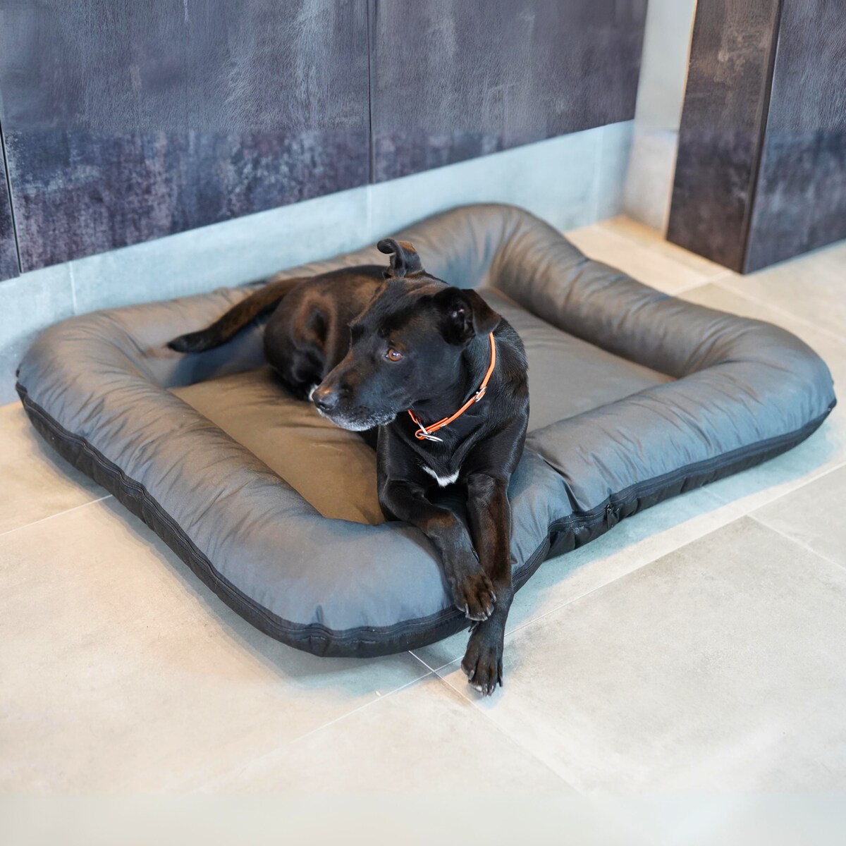 Wodoodporny materac dla psa ponton KLEO, 130x110 cm, Grafit