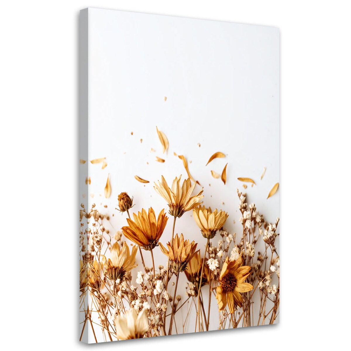Obraz do salonu jadalni, Suche kwiaty polne w beżu 60x90
