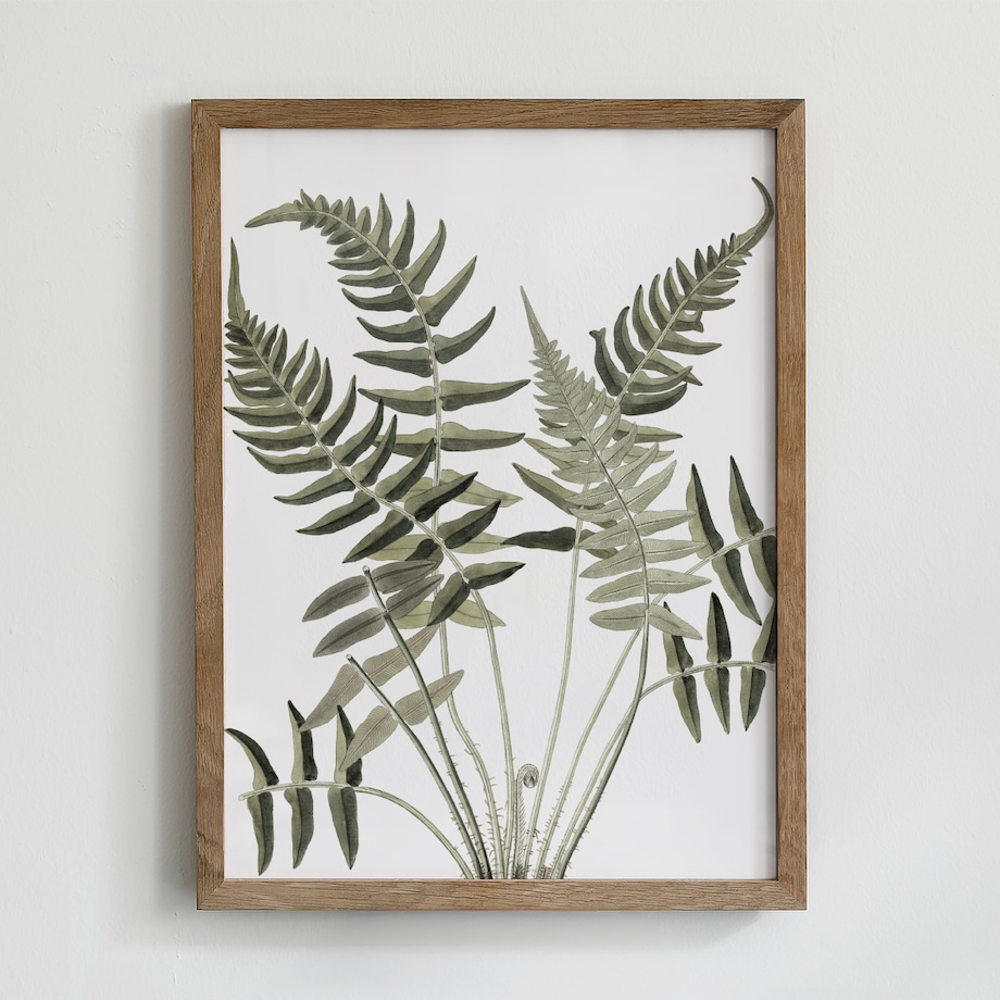 Zestaw 6 Ilustracji 30x40cm