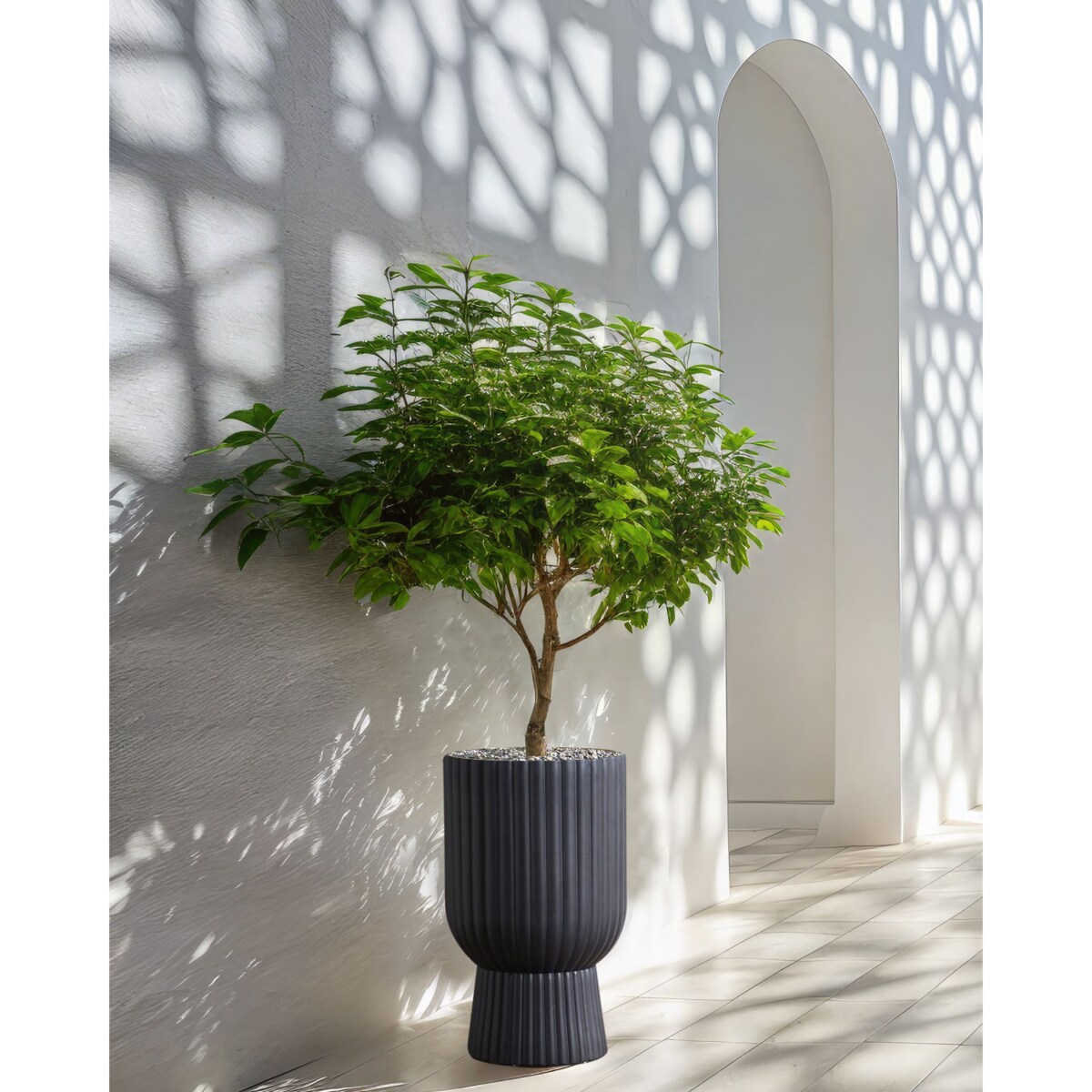 Doniczka 35 x 34 x 56 cm szara TAXODIUM