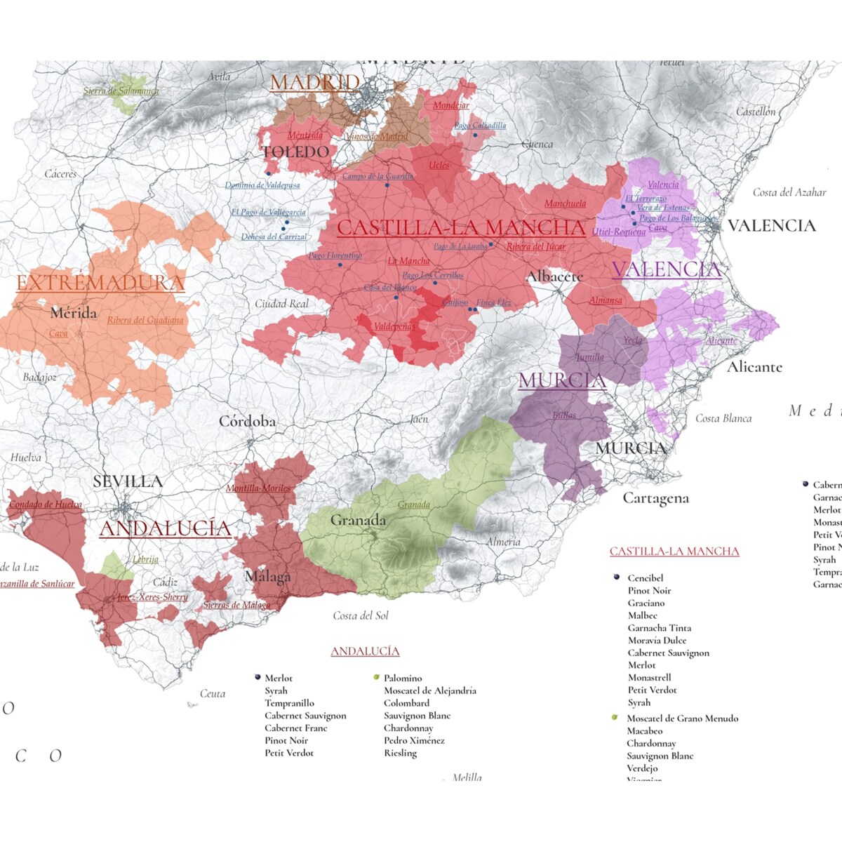 plakat HISZPANIA regiony winiarskie 50x70cm