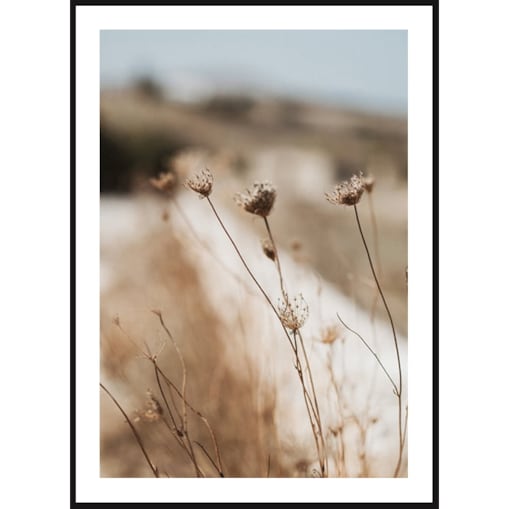 Poster Story, Plakat, Obraz - Delikatna Trawa przy Polnej Drodze, wymiary 50 x 70 cm